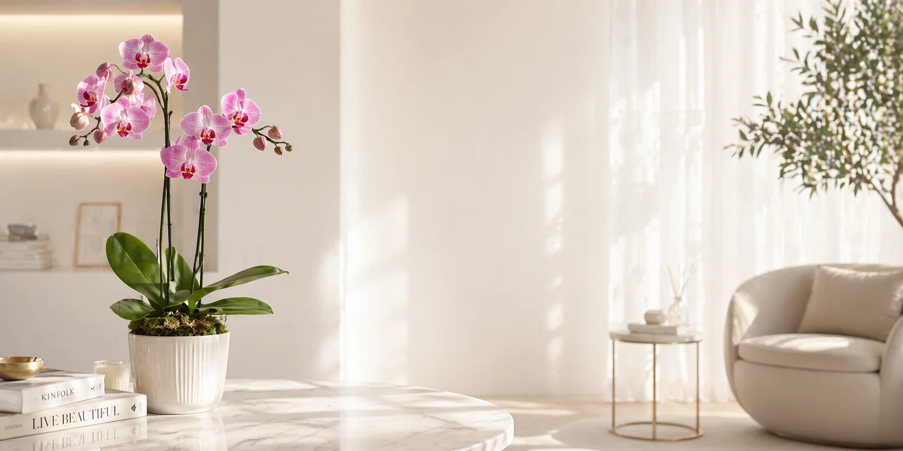 Orchids
